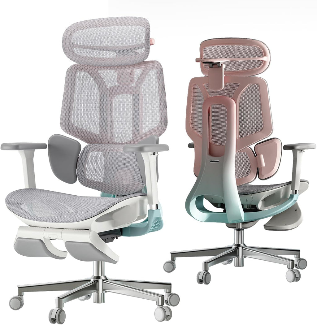 Hbada E3 Air Ergonomic Office Chair with Dynamic Lumbar Support