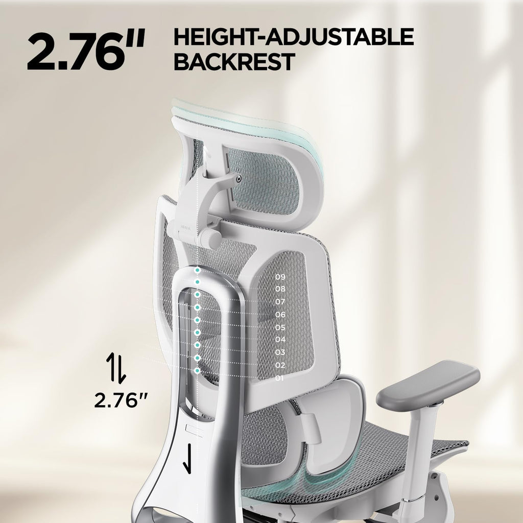 Hbada E3 Air Ergonomic Office Chair with Dynamic Lumbar Support
