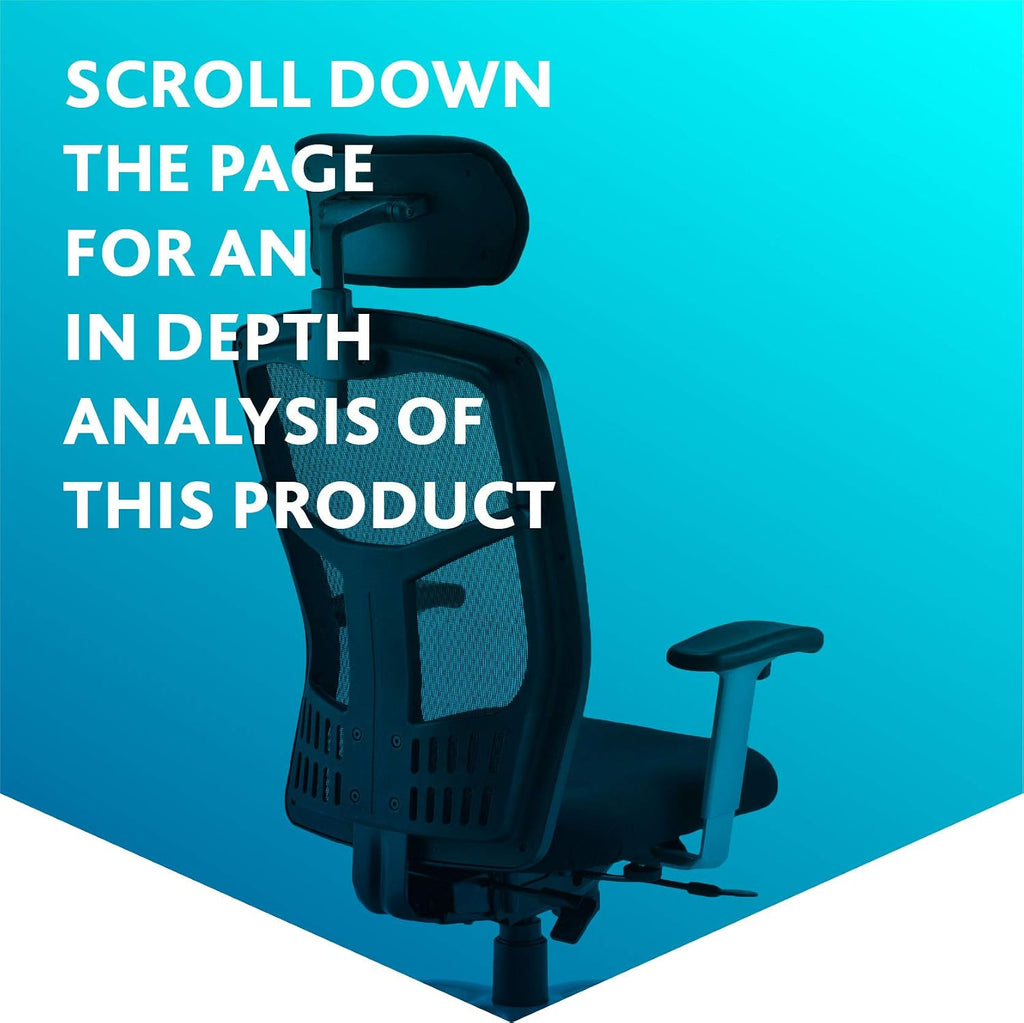 Office Hippo Desk Chair, Ergonomic Heavy Duty Office Chair, Fully Adjustable For Extra Comfort & Support, Torsion Control Computer Chair For 24 Hour Use, 152kg User Weight - Black
